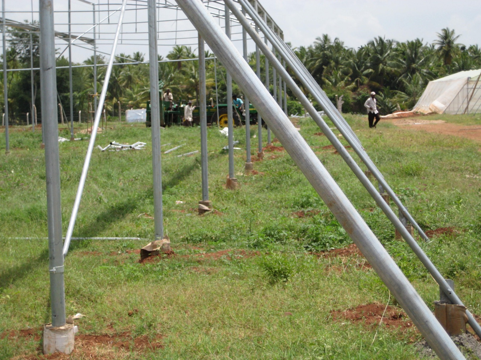 Greenhouse Project 25